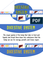 Lesson 1 Digestive System