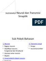 Konduksi Neural Dan Transmisi Sinaptik