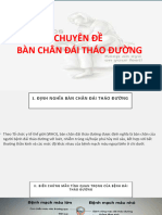 Chuyên Đề Bàn Chân Đái Tháo Đường