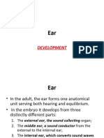 Embryology of Ear