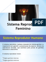 Aula 10 (Sistema Reprodutor Feminino)