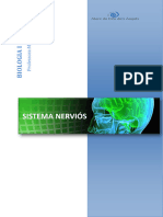 Apunts Sistema Nerviós