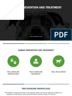 Rabies Prevention and Treatment