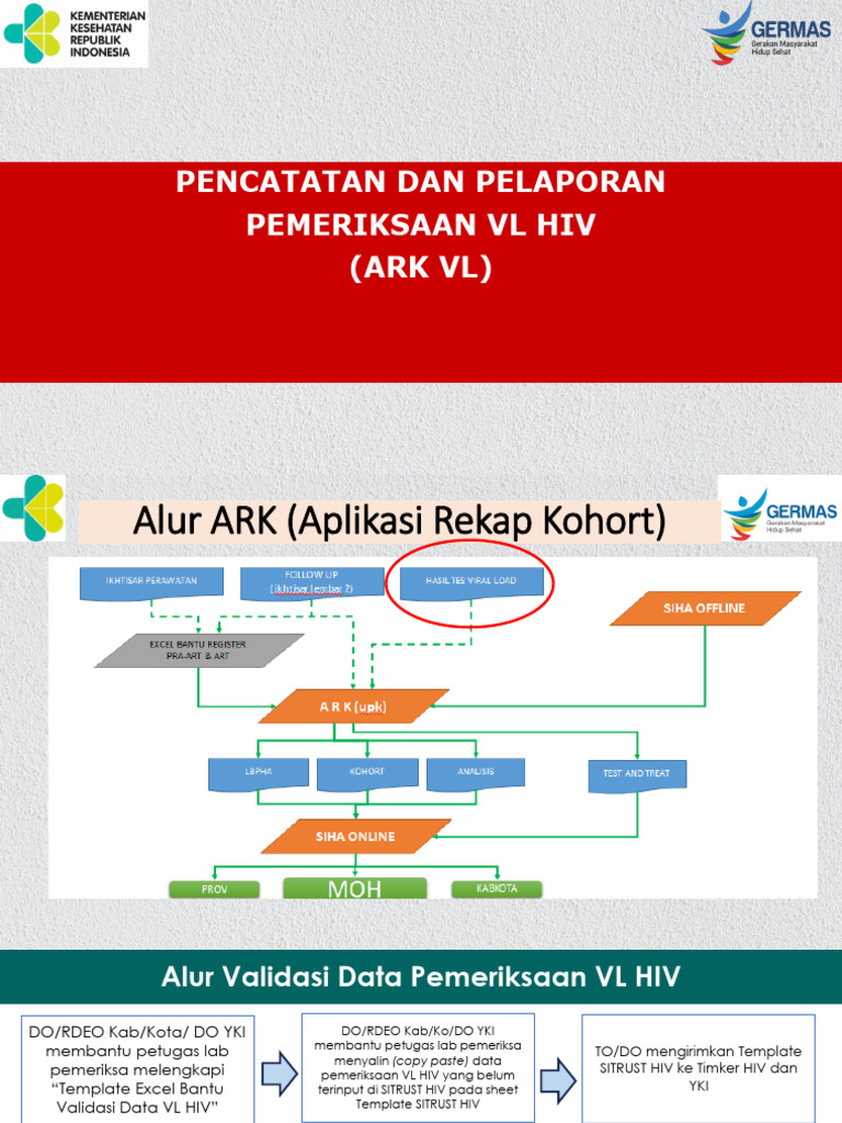 Panduan Input dan Pelaporan VL HIV ARK | PDF