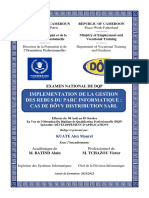 rapport de stage alex dvp- LR