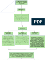 Mapa Conceptual Plantas Alessandro - Molina - 164005018