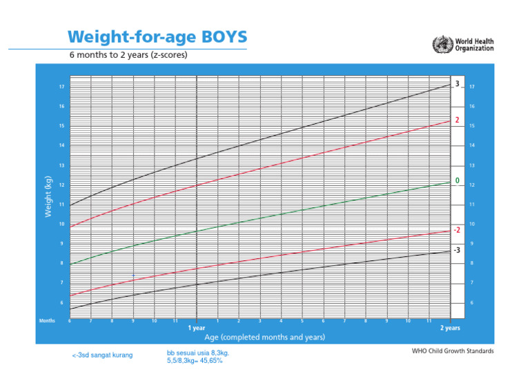 WHO Growth Standards: Boys' Weight 0-2 Years | PDF