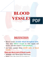 Blood Vessles