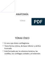 ANATOMÍA TORAX ÓSEO Anatomia UNLP