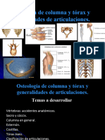 Anatomía TP3 - Osteología de Columna y Tórax y Clasificación de Articulaciones. Anatomia UNLP