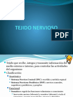 Tejido Nervioso Anatomia UNLP