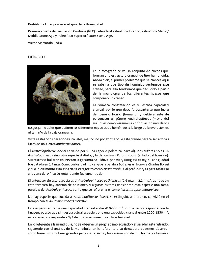 Análisis del Australopithecus boisei y herramientas líticas | PDF ...