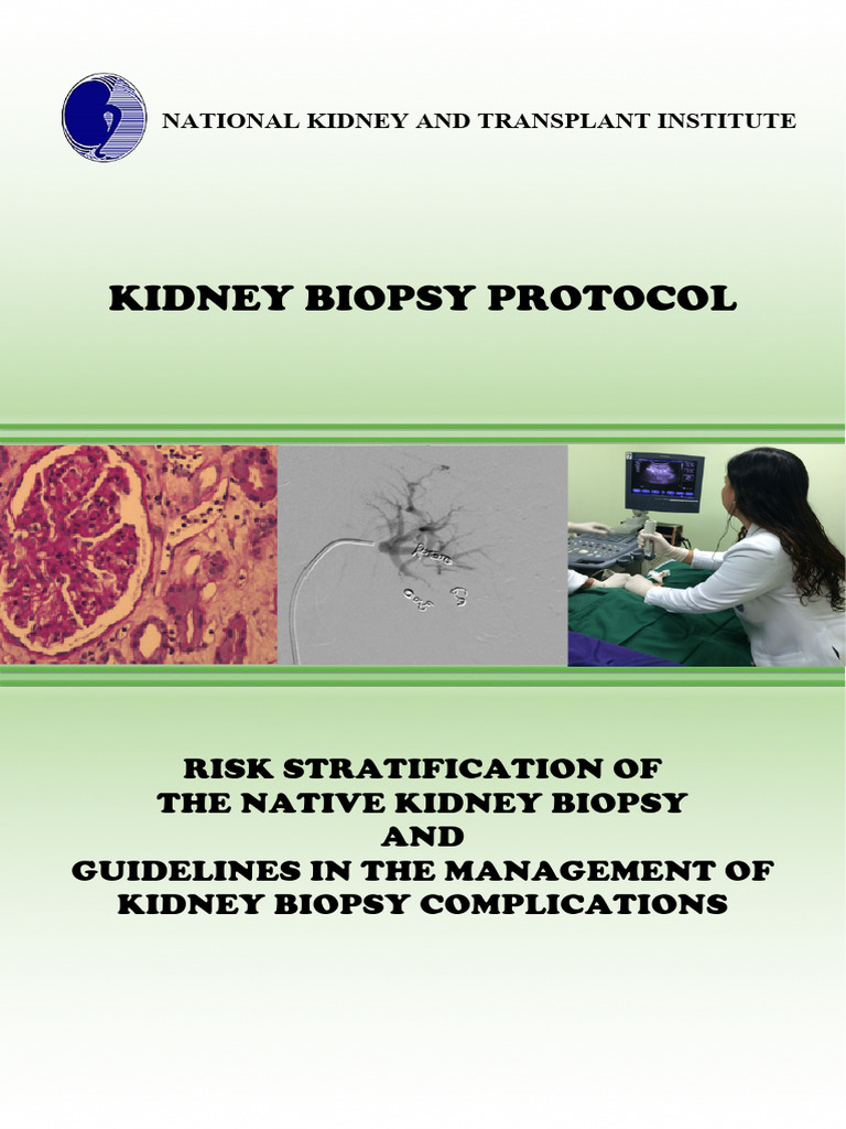 Renal Biopsy Guidelines Download Free PDF Nephrology Medical
