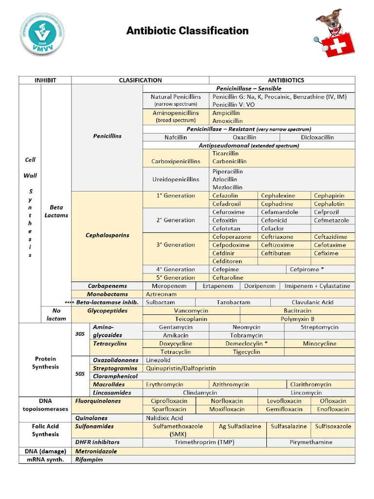 Antibiotic Classification Overview | PDF