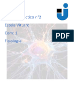 Trabajo Practico N 2 Neuro