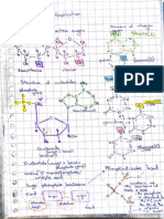 Mol Bio Maria Notes