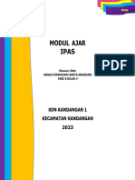 Modul Ajar Ipas: SDN Kandangan 1 Kecamatan Kandangan 2023