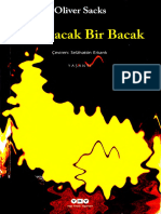 O. Sacks - Dayanacak Bi̇r Bacak