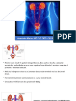 Sistem Excretor Bioterra