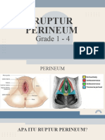 Ruptur Perineum