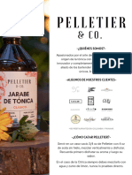 ¿Qué Es Pelletier 2024 PDF