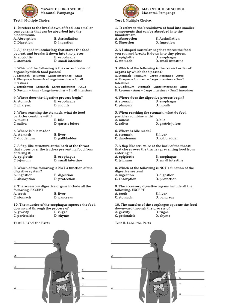Quiz digestive pdf human digestive system small intestine