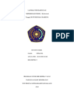 PDF LP Hiperkolesterol