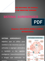 1 Sistema Adrenergico