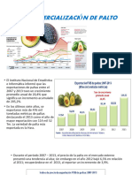 Comercialización de Palto Clase Ii