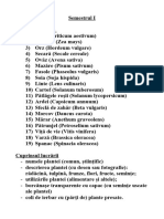 Proiecte Semestriale - Clasa A V-A