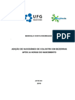 Dissertação de Mestrado Marcelo Costa Rodrigues