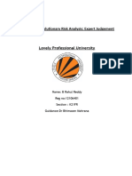 Software - Term Paper - INTB411 - EvolutionaryRiskAnalysis