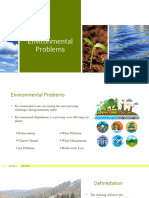 Environmental Problems Presentation