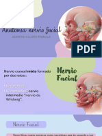 Anatomia de Nervio Facial 20230906 095528 0000