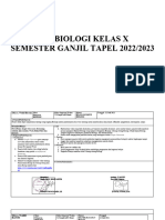 RPP Bio X