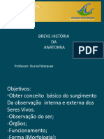 Breve História Da Anatomia