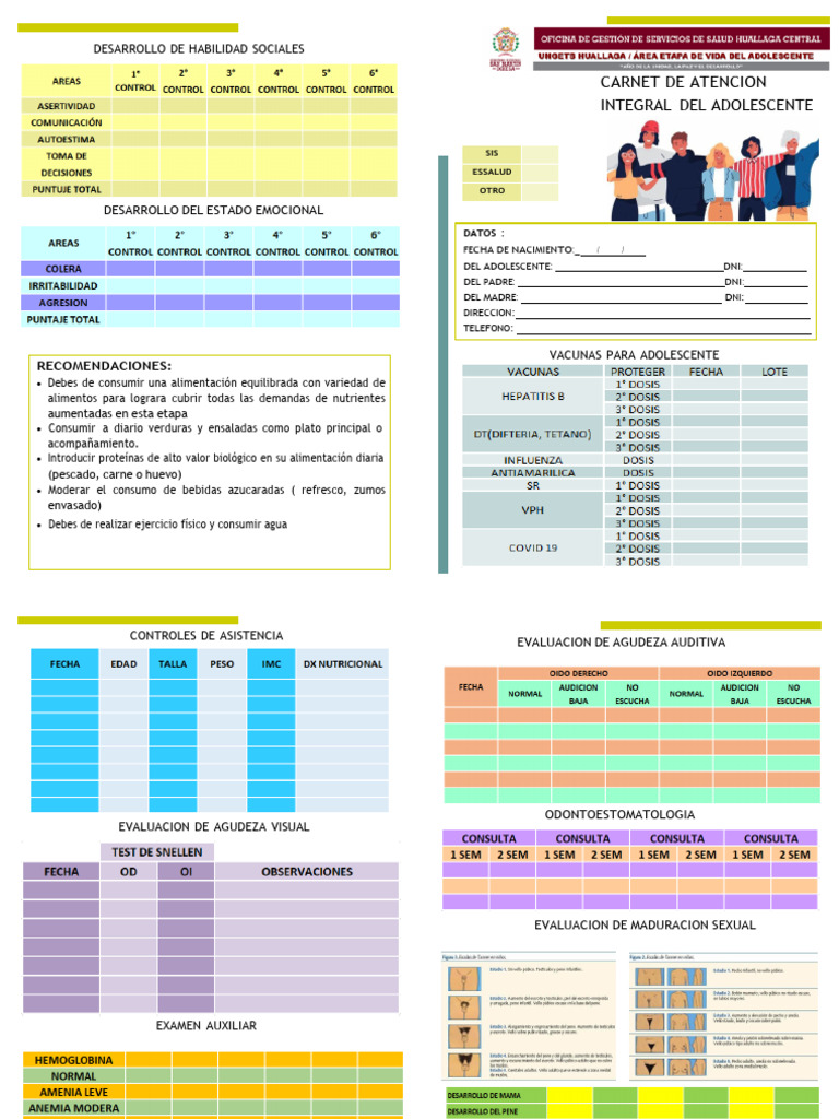 Carnet de Atención Integral Adolescente | PDF