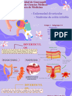 Diverticulitis y Colon I