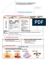 SESIÓN 07 DE Ciencia y Tecnología FUNCIÓN DE NUTRICIÓN  05-04-2024