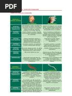 Tabela de Biologia - Anatomia Comparada