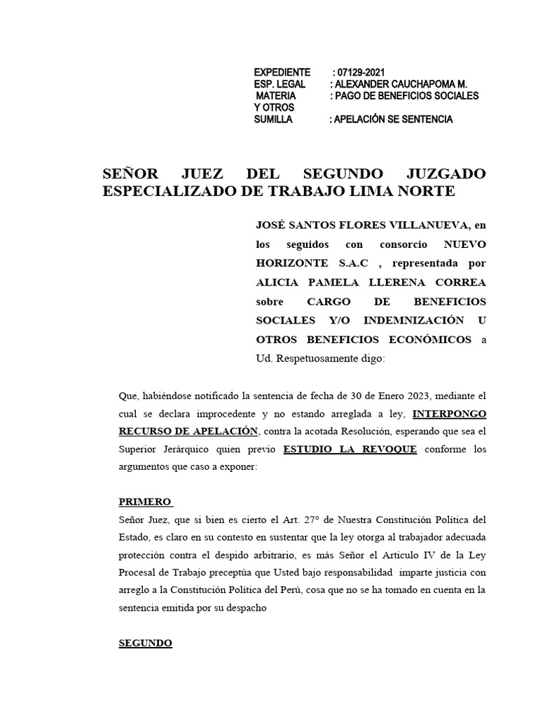 APELACIÓN DE SENTENCIA | PDF | Daños y perjuicios | Sentencia (ley)