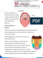 Semana 7 CYT 3ero FICHA