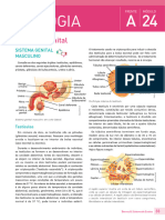 24 A Biologia: Sistema Genital