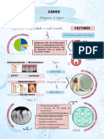 ERUPCIÓN DENTAL Infografia