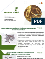 Helmy Anwar - D1A022014 - PPT Fisiologi Tumbuhan - Mekanisme Transpor Unsur Hara