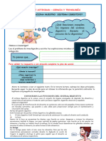 Día 9 Marzo Ficha Cyt-Cómo Funciona Nuestro Sistema Digestivo