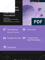 Gametogénesis + Foliculogénesis + Ciclo Ovárico + Fecundación