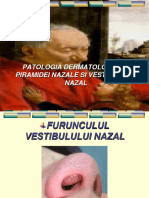Patologie Dermatologica A Piramidei Nazale Si V.N.