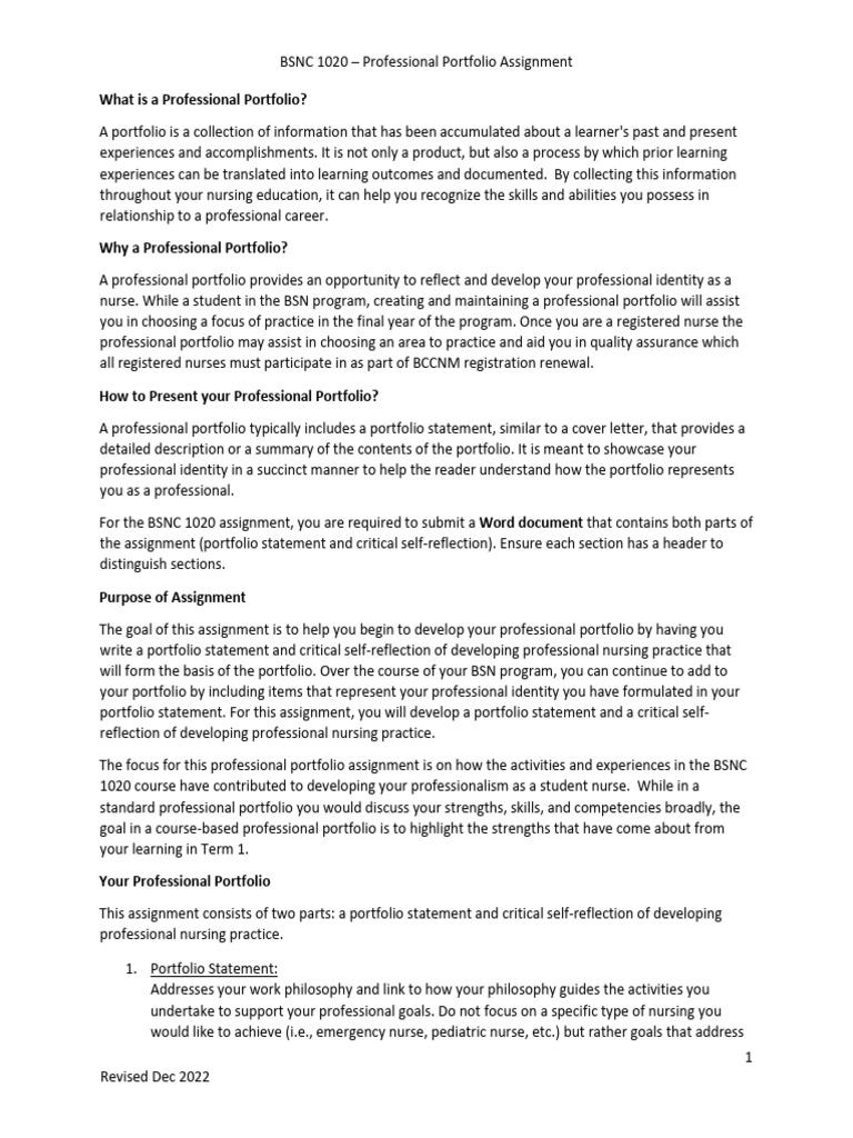 Professional Portfolio Assignment Pdf Nursing Learning