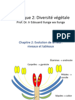 Angio - Niveaux Et Tableaux - L1 Agro Et GRNR - Ilunga - 2023